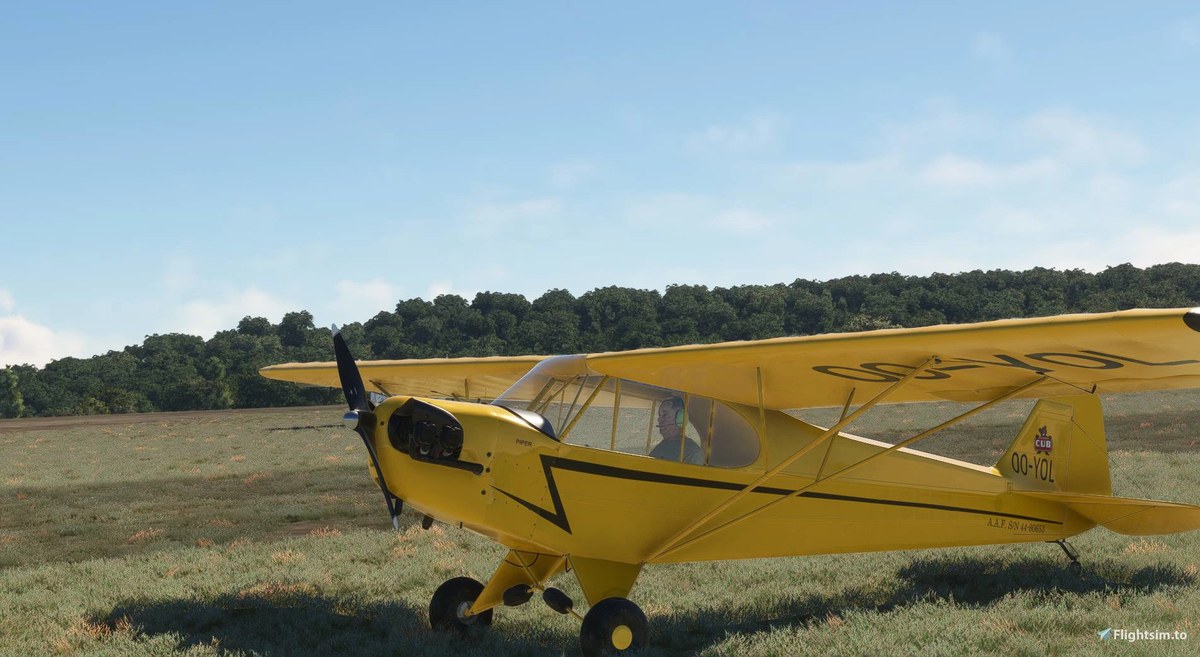 OO-YOL - Piper J-3 Cub